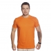 Camiseta Algodao Masculina Academia Treino Manga Curta Lisa Moderna Otima Qualidade