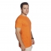 Camiseta Algodao Masculina Academia Treino Manga Curta Lisa Moderna Otima Qualidade